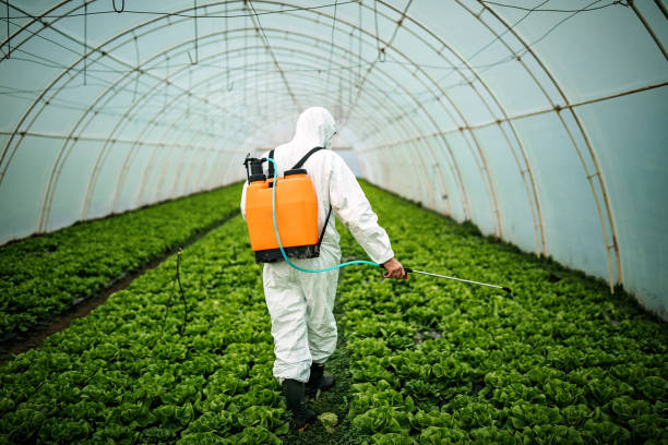 Best Mosquito Control Services  in Lackawanna, NY