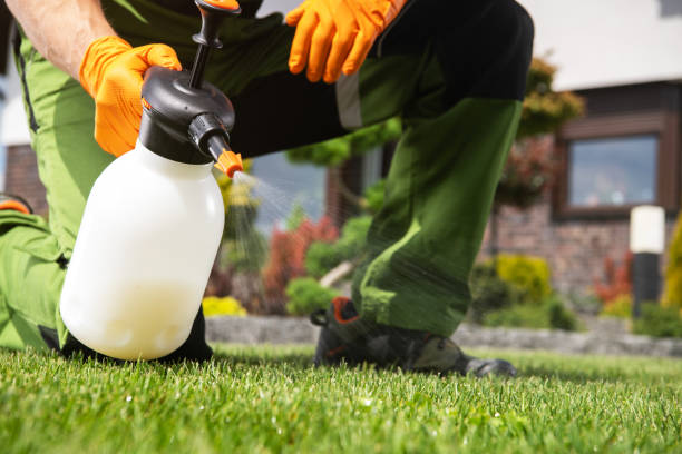 Best Exterminator Services  in Lackawanna, NY