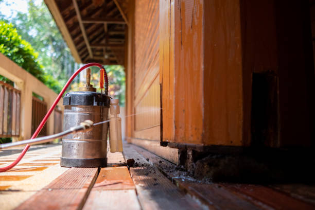 Best Mosquito Control Services  in Lackawanna, NY